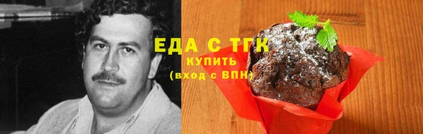 СК Вязьма