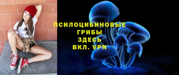 СК Вязьма