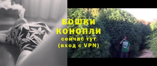 соль ск Вяземский