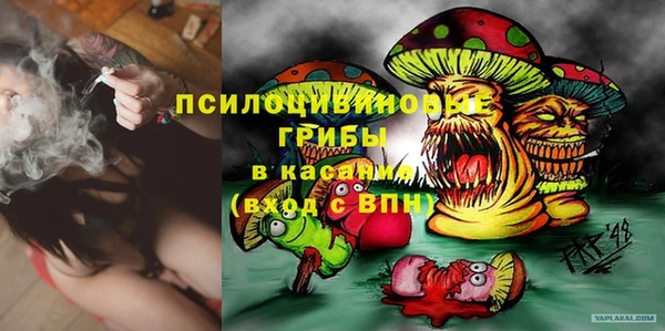 соль ск Вяземский