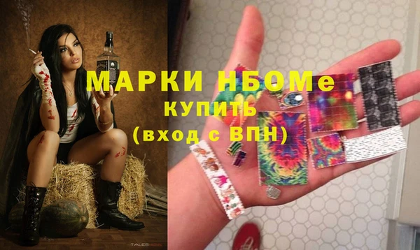СК Вязьма