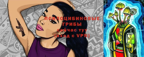 соль ск Вяземский