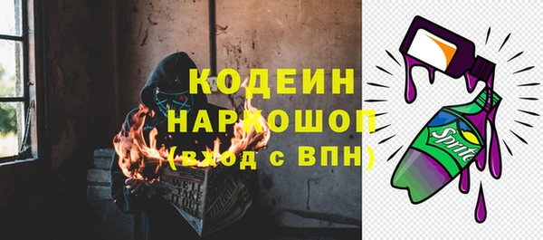 соль ск Вяземский