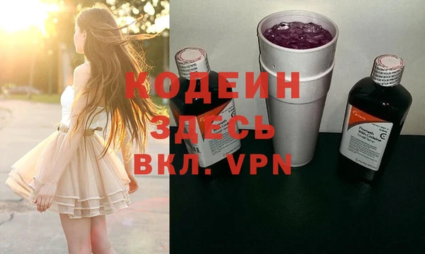 соль ск Вяземский
