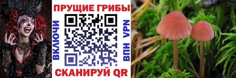 Псилоцибиновые грибы Magic Shrooms  Купить  Льгов 